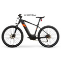 Electric Dirt Bike Erwachsener